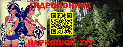 эйфоретик Бийск